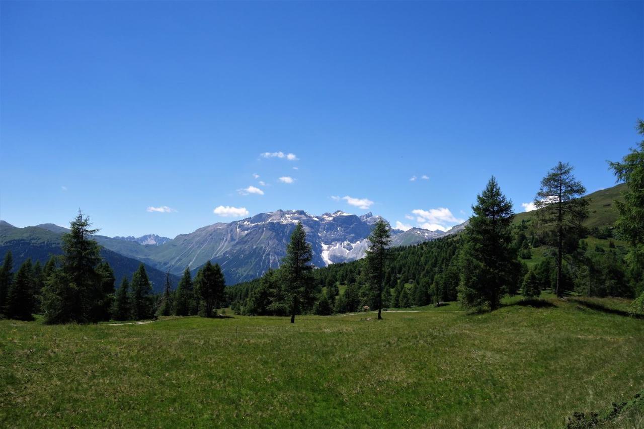 Alpen Gasthof Apartments Hohe Burg 堤林斯 外观 照片